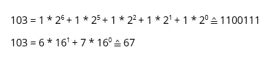 Imagen: Representación binaria y hexadecimal de “g”